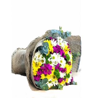 Elazığ Çiçek 585